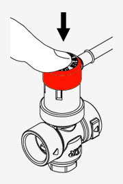 03 180x270 Manut fig